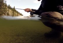 Nice Fly-fishing Situation Photo shared by Andrew Hardingham – Fly dreamers 