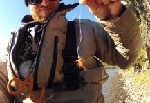 Fly-tying Photo by Andrew Hardingham – Fly dreamers 