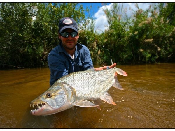 Monster Tigerfish on the Fly - Articles