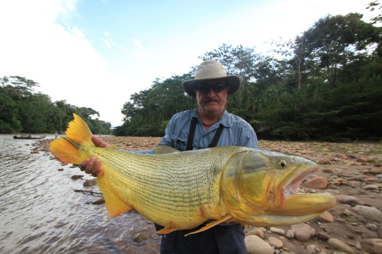 Pesca Con Mosca Fondo De Pantalla