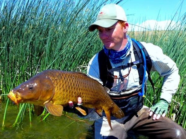 Leaders for carp fishing  The North American Fly Fishing Forum