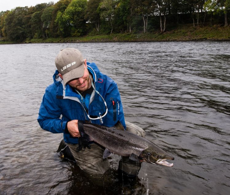 Salmon from River Tay in Scotland 