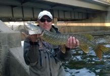 Anguel Dimitrov 's Fly-fishing Picture of a Pike – Fly dreamers 