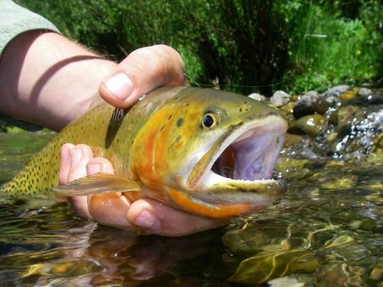 Eagle River, Vail, Colorado, United States