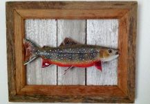 Sweet Fly-fishing Art Photo shared by Jim Wiley – Fly dreamers 
