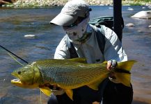 DIEGO COLUSSI 's Fly-fishing Photo of a Tiger of the River – Fly dreamers 