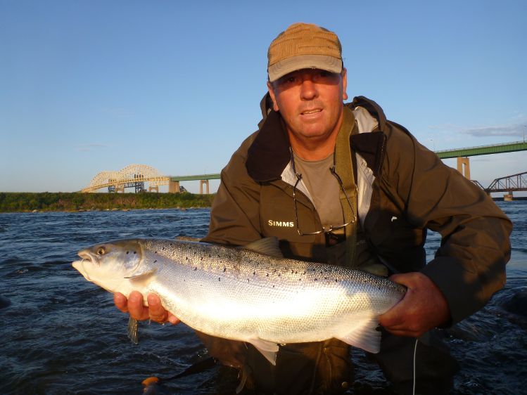 salmones atlanticos/frontera canada/usa   mosca (black nose dace  nro 8)