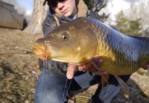  Captura de Pesca con Mosca de Hypophthalmichthys nobilis por Luke Alder – Fly dreamers