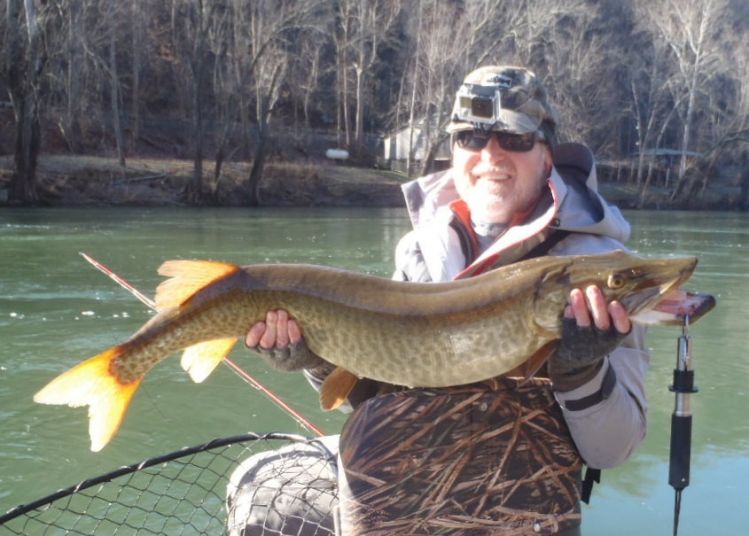 First fish (musky) of the year.