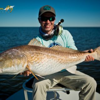 30+ lb redfish on fly