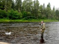 Fly fishing picture