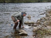 Fly fishing picture