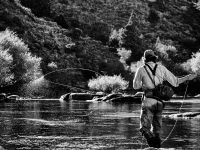 Fly fishing picture