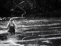 Fly fishing picture