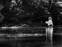 Fly fishing picture