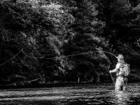 Fly fishing picture