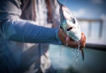 Frankie Marion 's Fly-fishing Photo of a Permit – Fly dreamers 