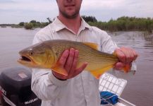 Dorados en San Pedro!