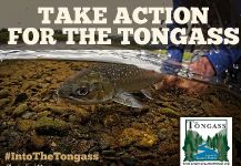 Take Action for The Tongass