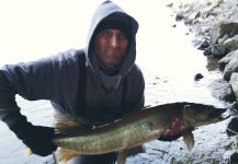 Fly-fishing Picture of Muskie shared by Joshua Glovinsky – Fly dreamers