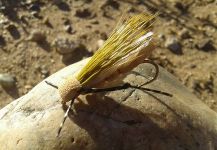 Jonatan Rodriguez 's Fly-tying for Rainbow trout - Image – Fly dreamers 