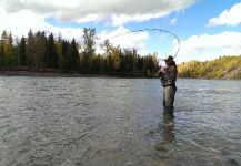 Steelhead Fly-fishing Situation – Travis Walters shared this Image in Fly dreamers 
