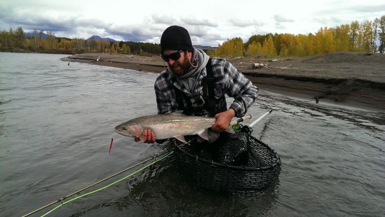 BC steelhead #3