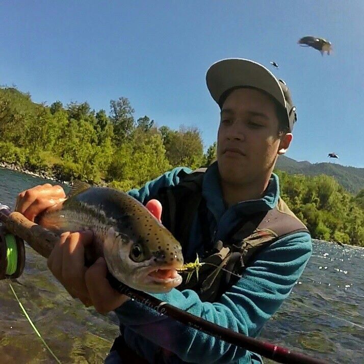 Raimbow Trout of Fuy River