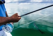  Tarpón – Interesante Situación de Pesca con Mosca – Por Thomas & Thomas Fine Fly Rods