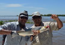 Fly-fishing Image of Pez perro shared by Gonzalo Fernandez – Fly dreamers