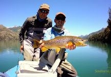 Esteban Urban 's Fly-fishing Picture of a Brownie – Fly dreamers 