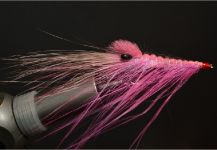 Fly for Sea-Trout shared by Kuba Hübner – Fly dreamers 