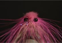 Kuba Hübner 's Fly for Sea-Trout - Pic – Fly dreamers 