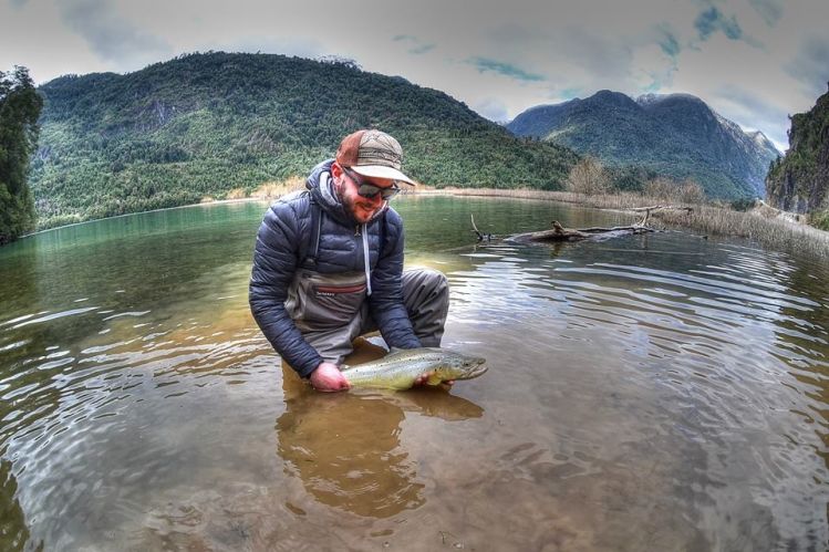 En la laguna victoria entre el Lago Tagua Tagua y el río Puelo, entre unos juncos pillamos esta hermosa trucha marron con una zonker negra con amarillo...