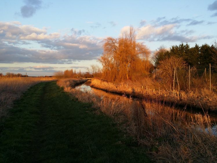 River Torne, Yorkshire, United Kingdom