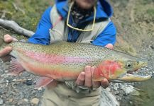  Trucha arcoiris – Situación de Pesca con Mosca – Por Leandro Herrainz