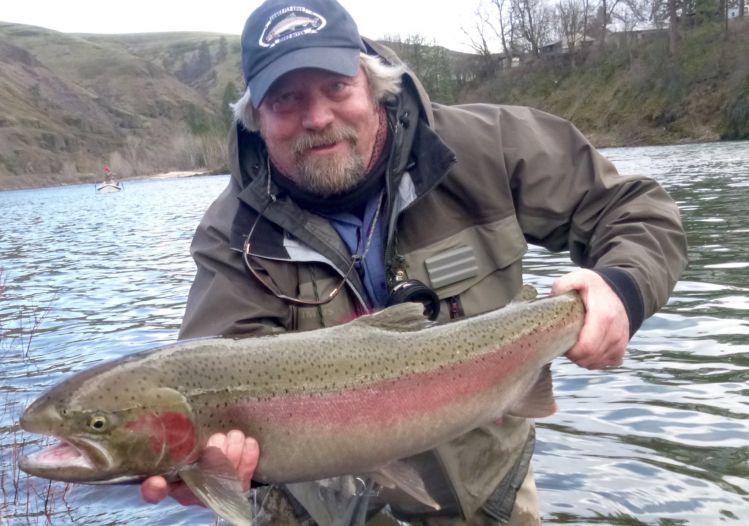 40" Clearwater Wild Steelhead