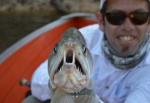 TEMPORADA 2016 , TUCUNARE y PAYARAS en Puerto Carreño, Rios Vita, Orinoco y Juriepe