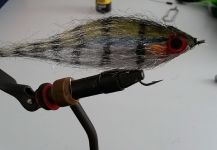 Fly for Pike shared by Jan Wagner – Fly dreamers 