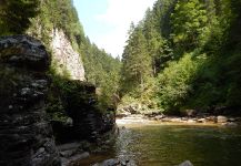 Alpine creek, Couple of hours from Garda lake, Trentino-Alto Adige, Italy