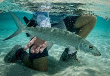  Foto de Pesca con Mosca de Bonefish por Black Fly Eyes Flyfishing – Fly dreamers 