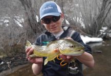  Foto de Pesca con Mosca de Trucha marrón compartida por Luke Alder – Fly dreamers