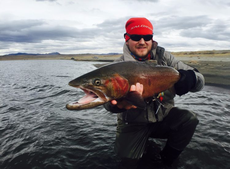 Pyramid Lake Lahontan Cutthroat trout!