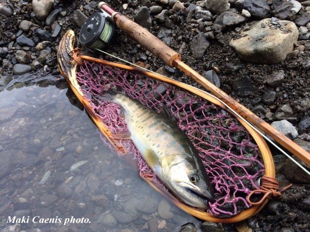 Rod.Caenis fishing guide service,Semi hollow build bamboo rod 8ft 3/4.
Line,Maki Caenis Signature fly line WF3F.
Reel,Hardy Fly weight(made in England).gift from client.