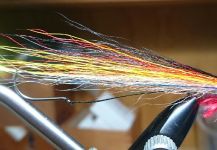 Pablo Bianchini 's Fly-tying for Browns - Image – Fly dreamers 