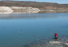 Rainbow trout Fly-fishing Situation – Hugo Tello shared this Image in Fly dreamers 