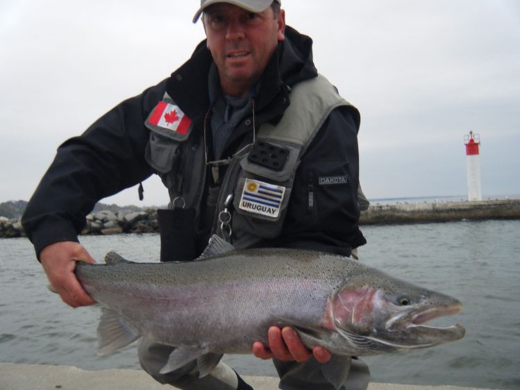 buen macho en la desembocadura del Ganny  en el lago Ontario