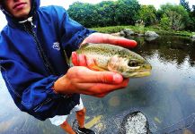  Trucha arcoiris – Interesante Situación de Pesca con Mosca – Por Tomas Jaime