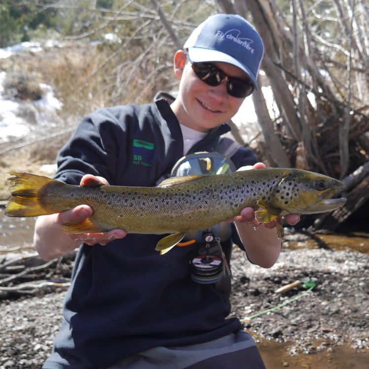 Great brown from yesterday. Caught almost a dozen fish like this in a pool no bigger than a bathtub.