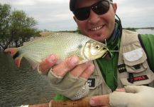  Captura de Pesca con Mosca de Pirá pitá por Leo Cardella – Fly dreamers